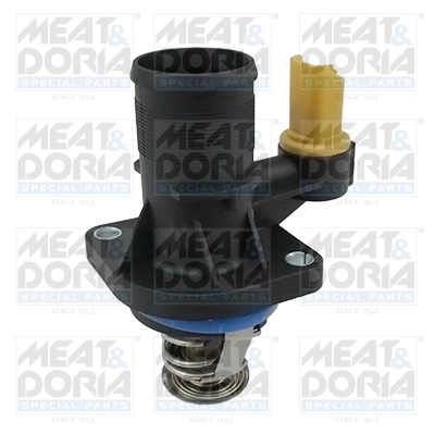 Thermostat, coolant